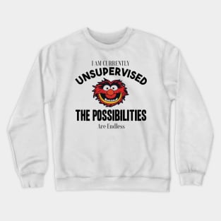 I am currently unsupervised I know it freaks me out too but possibilities are endless Crewneck Sweatshirt